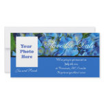 save the date, blue hydrangea flowers photo greeting card
