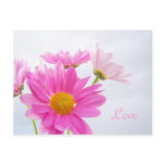 Save the Date Daisy Postcard