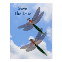 Save The Date Dragonflies Blue Sky Nature Postcard