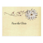 Save the Date for Special Occasion Postcards