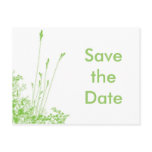 Save the Date  Green grass postcards