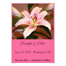 Save the Date Invitation