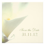 Save the Date Invitation