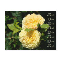 Save the Date! LOVE Wedding post cards Roses