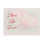 Save the Date - Peachy Rose Blossom