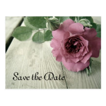 Save the Date Pink Rose Postcard