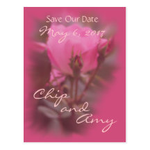 Save the Date Pk Knockout Rose-any occasion Postcard