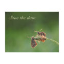 Save the date postcards