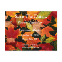 Save The Date Post Cards