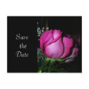 Save The Date postcards