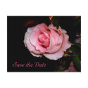 Save the Date postcards