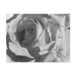 Save the Date Postcard