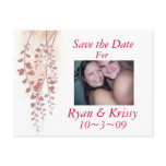 Save the Date postcards