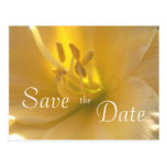 Save the Date postcards