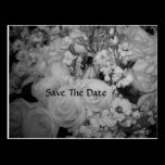 Save The Date postcards