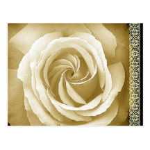 Save the Date Postcard Cream and Sepia Rose