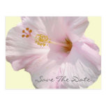 Save the Date Postcard - Tropical Beach Wedding