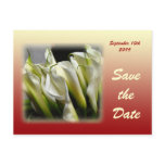Save the Date postcard - White Calla Lilies