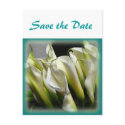 Save the Date postcard - White Calla Lilies