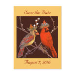 Save the date postcard with cardinal couple