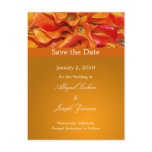 Save the date postcards, orange calla lillies