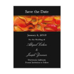 Save the date postcards, orange calla lillies