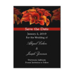 Save the date postcards, orange calla lillies