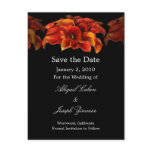 Save the date postcards, orange calla lillies