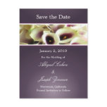 Save the date postcards, purple calla lillies