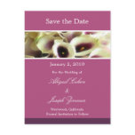 Save the date postcards, purple calla lillies