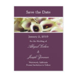 Save the date postcards, purple calla lillies