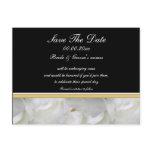 Save the date rose wedding invitations