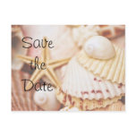 Save the Date Seashell Postcard