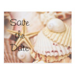 Save the Date Seashell Postcard