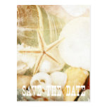 Save the Date Textured Starfish Postcard