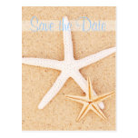 Save the Date Twin Starfish Postcard