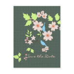 Save the Date two blue birds on dogwood branch postcards