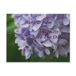 Save The Date Wedding Hydrangea Flower Postcard
