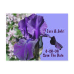 Save The Date Wedding Purple Iris Flower Postcard