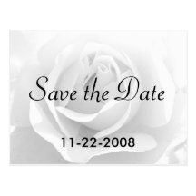 Save the Date White Rose Post Card