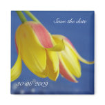 Save the Date with Tulips - Magnet