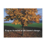 save the dates postcards