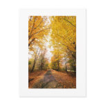 Save The Dates Wedding Picture Fall Autumn Postcard