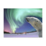 Save the Endangered Polar Bears for Christmas