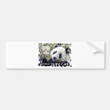 Save The Giant Panda Bumper Stickers