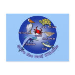 Save the Gulf Wildlife Tshirts postcards