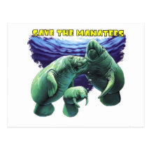 Save the Manatees Postcard