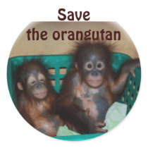 Save the orangutan