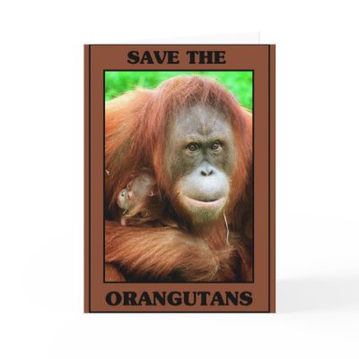 Save the Orangutans Greeting Cards by One_Planet