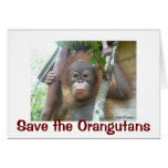 Save the Orangutans cards
